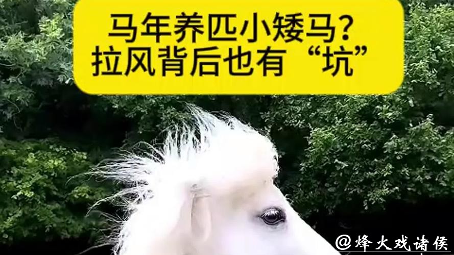 微言 - 马年养匹小矮马？拉风背后也有“坑”